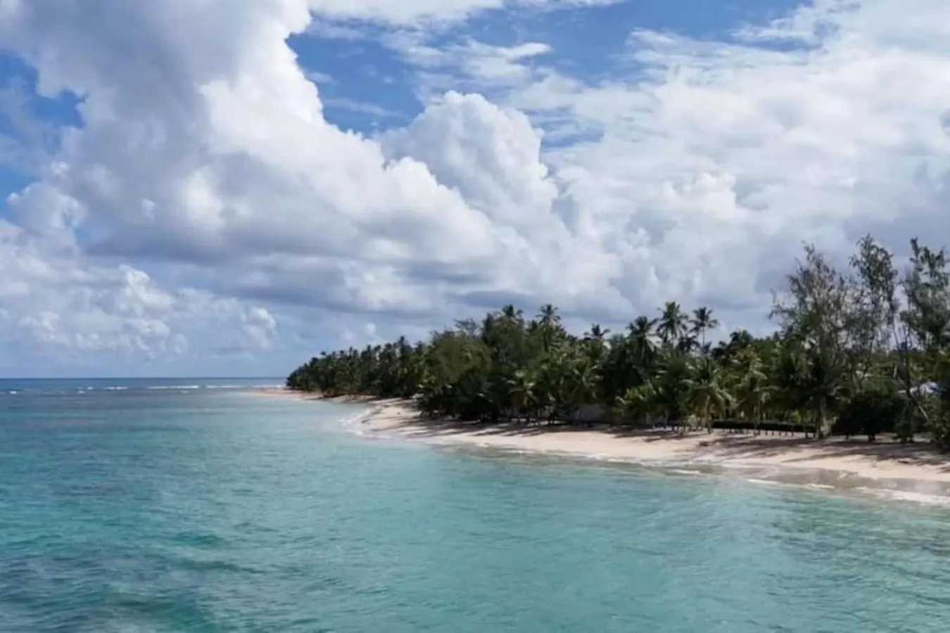 Oceanfront 1-Bedroom Getaway In Dominican Republic Las Terrenas