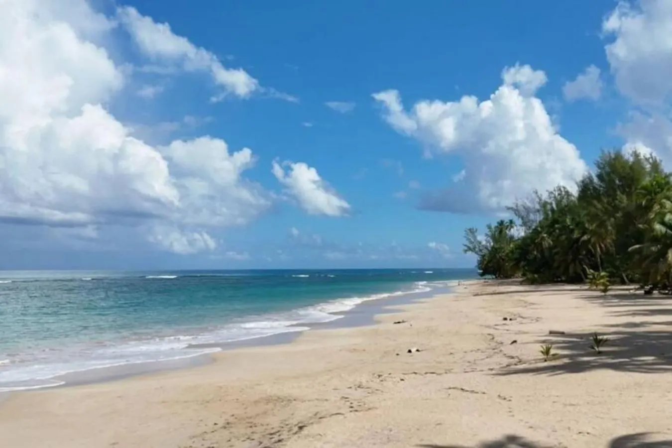 Oceanfront 1-Bedroom Getaway In Dominican Republic Las Terrenas Prázdninový dům